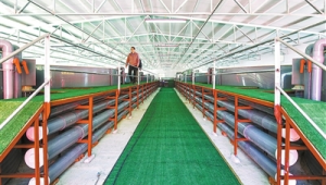 号易养殖基地卡：水质监测设备的物联网卡选型