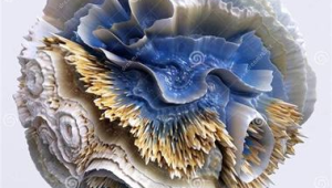 2. 收益与佣金类