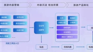 号易抖音企业号:蓝 V 权益的流量倾斜利用技巧