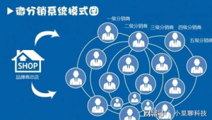 号易平台多级分销：如何利用团队力量实现收益倍增