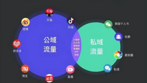 号易私域流量池：社群运营与客户分层